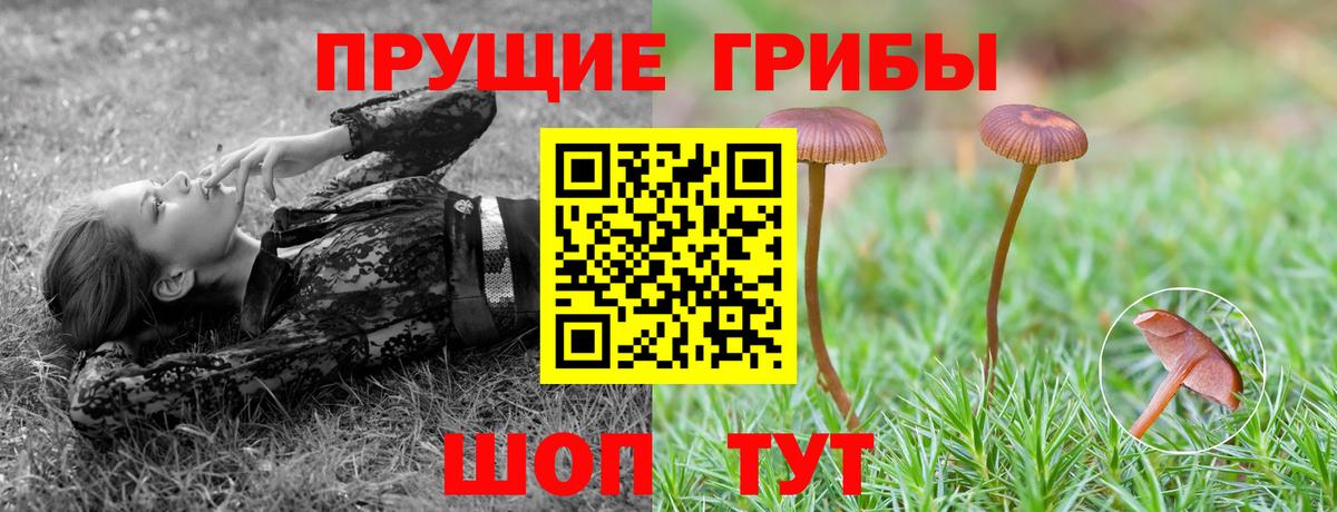 Псилоцибиновые грибы мухоморы  Вход с VPN  Рузаевка 